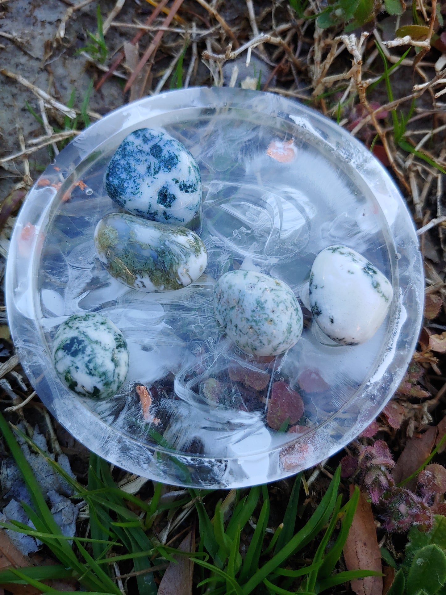 Tree Agate Tumbles