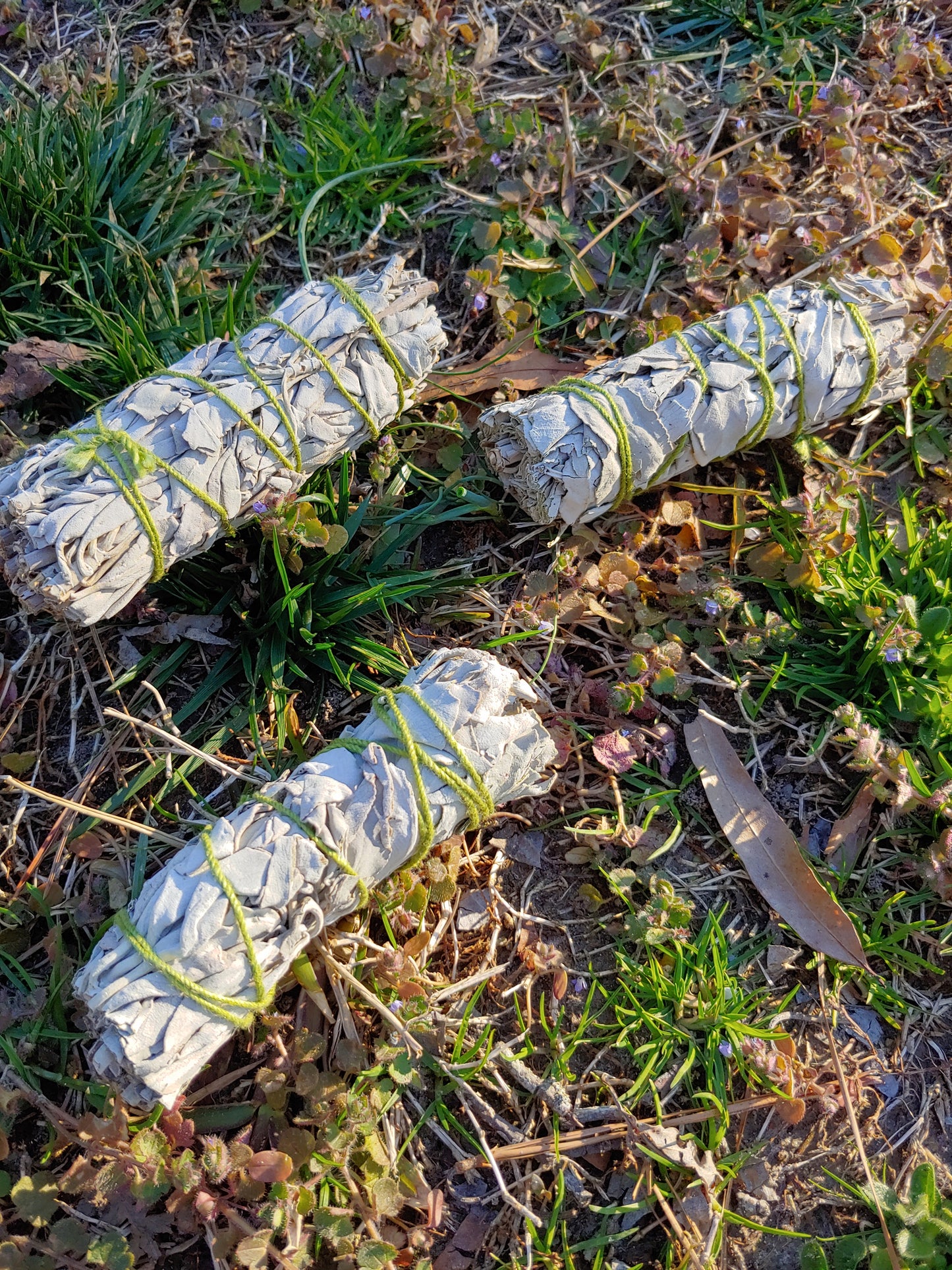 White Sage Stick