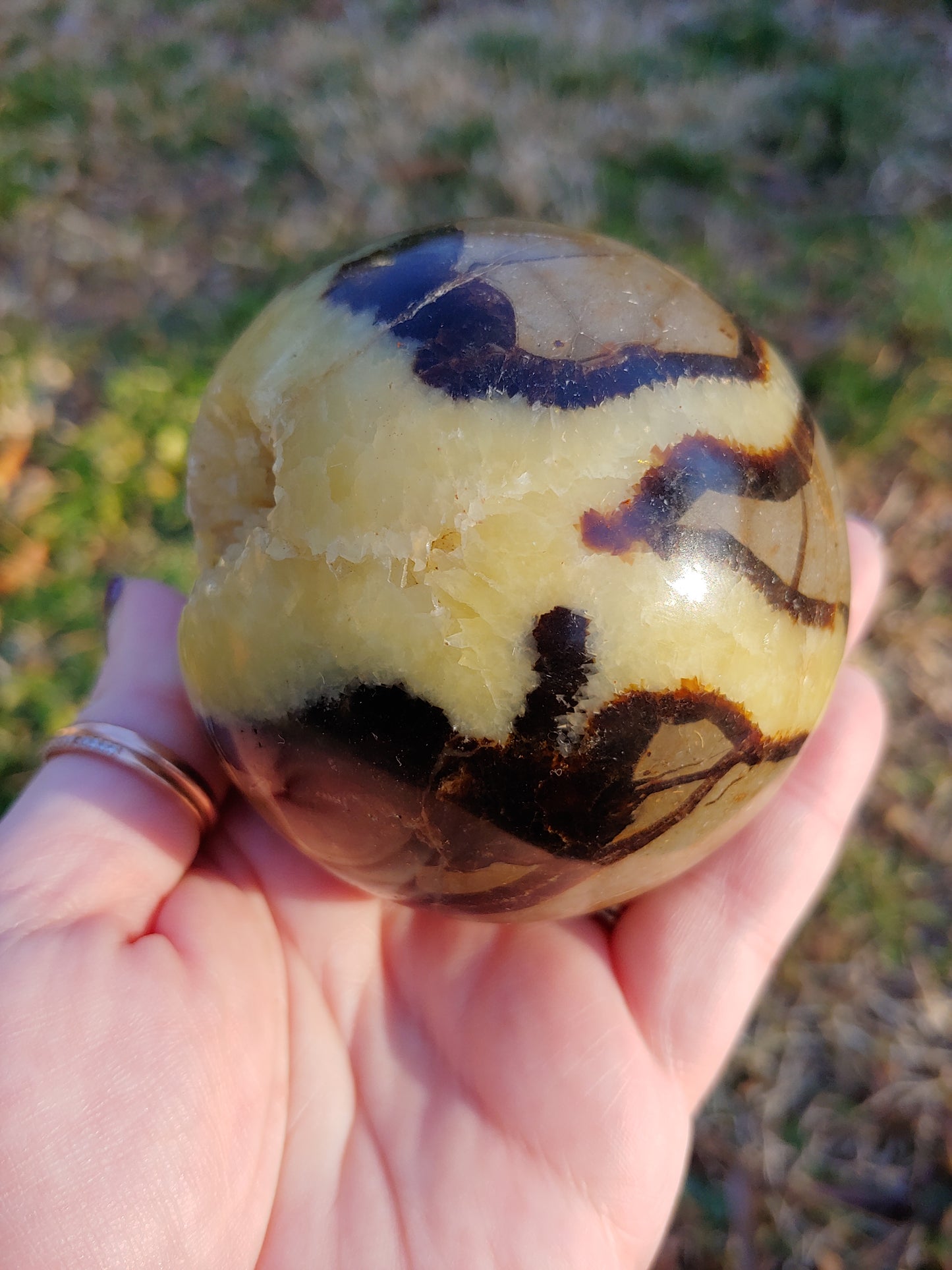 Septarian Sphere