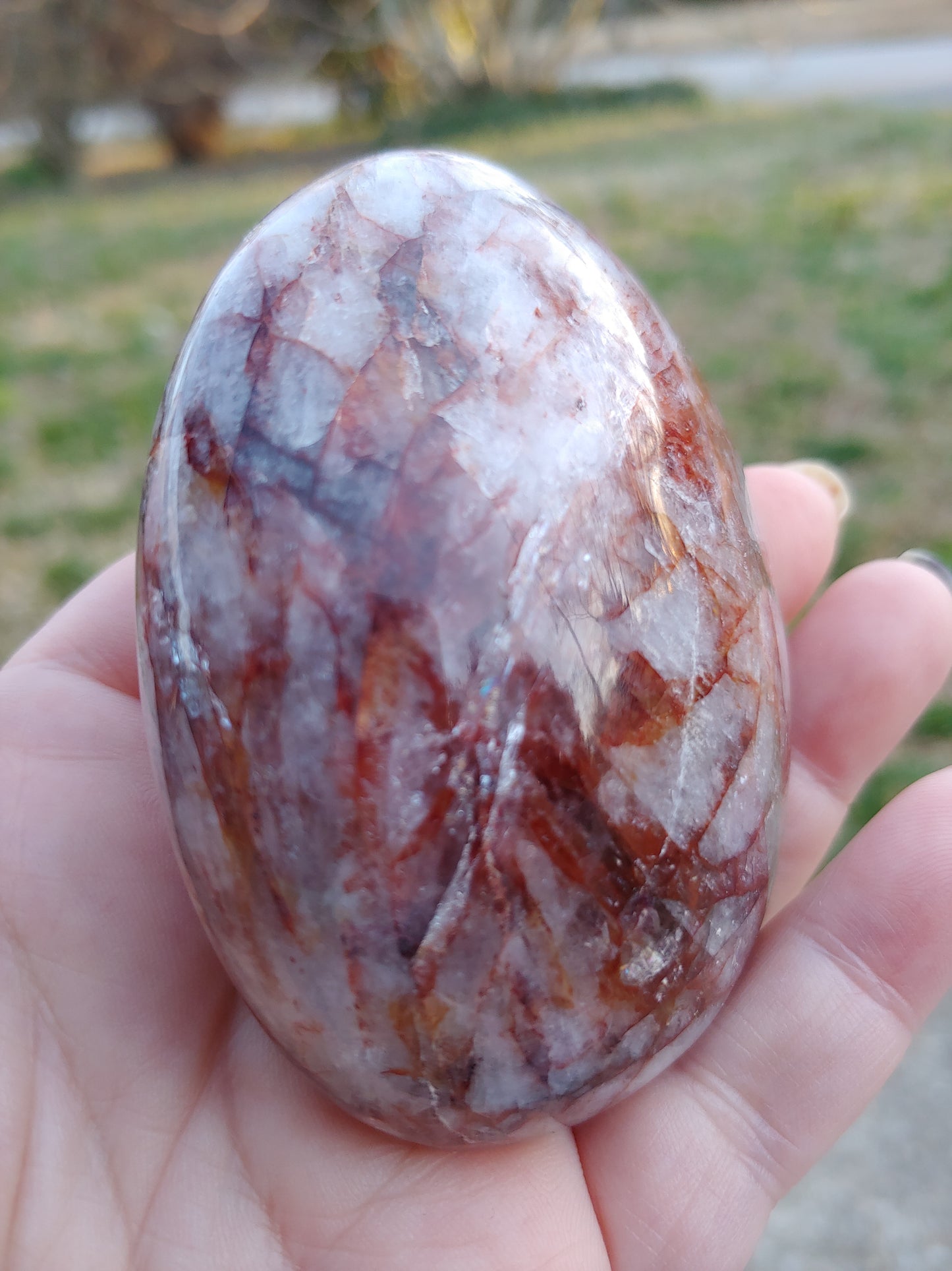 Fire Quartz Palm