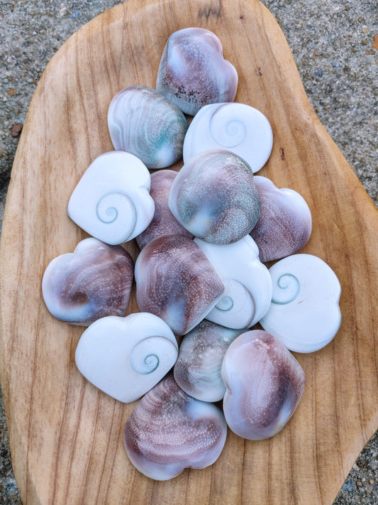 Shiva Shell Hearts