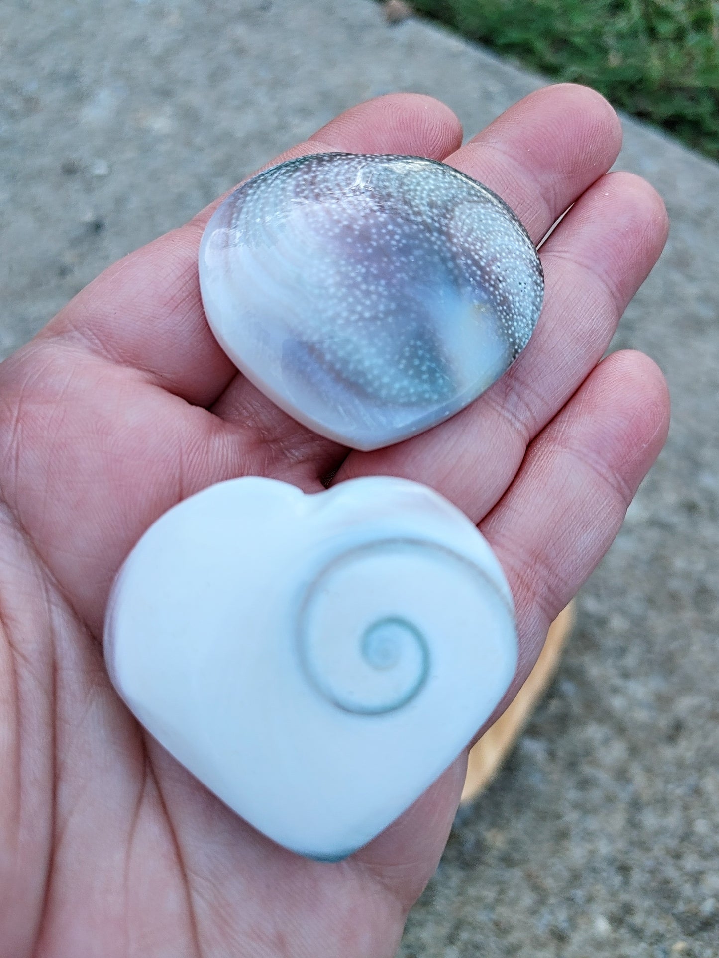 Shiva Shell Hearts