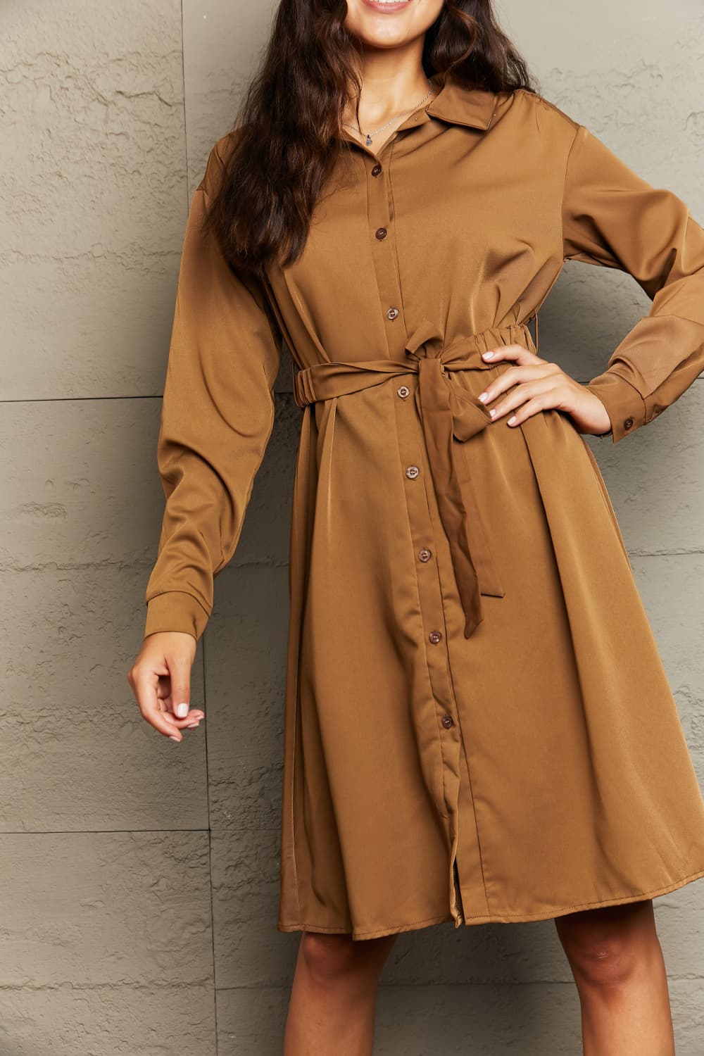 Collared Neck Button Down Dress